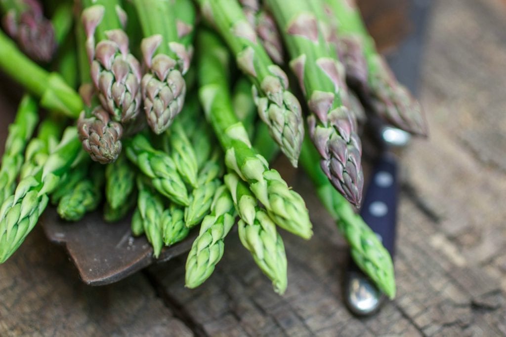 Elder Care in Bala Cynwyd PA: National Asparagus Month