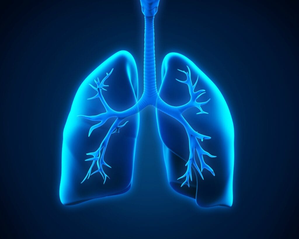 Home Care Services in Haverford PA: Learning More About Pneumonia