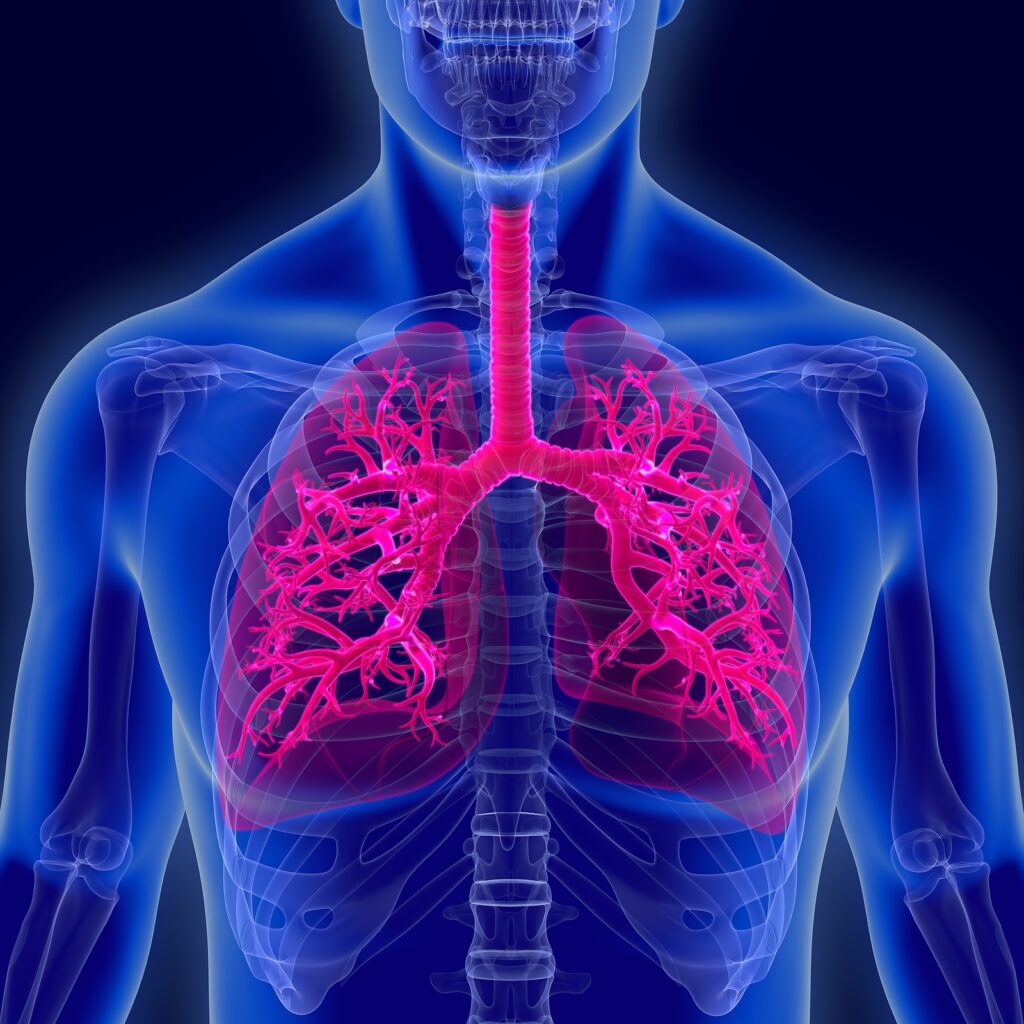 Senior Health:  Respiratory Issues